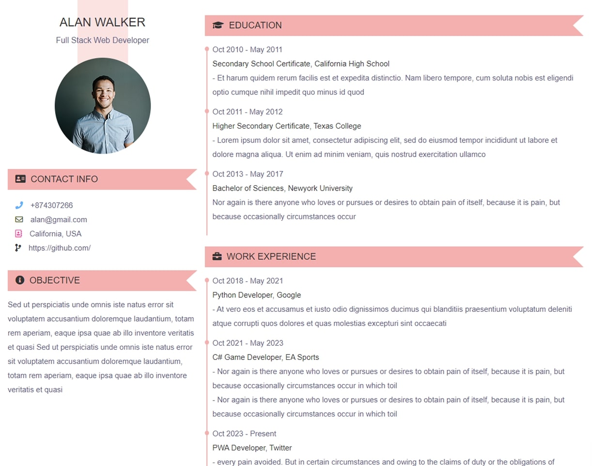 CV Template 1